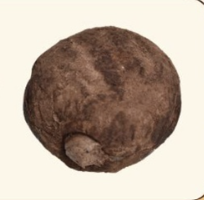 Danono's Doughnuts Double Choco Delight